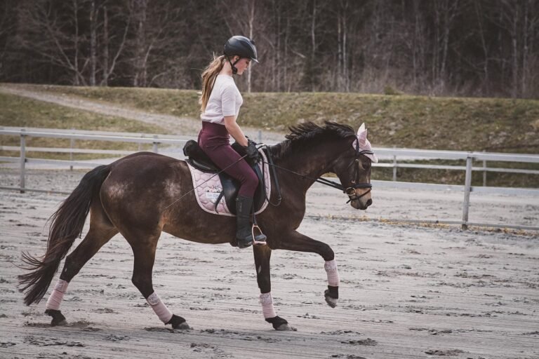 Riding Crop - Purpose, Proper Use, and Benefits in Horse Riding