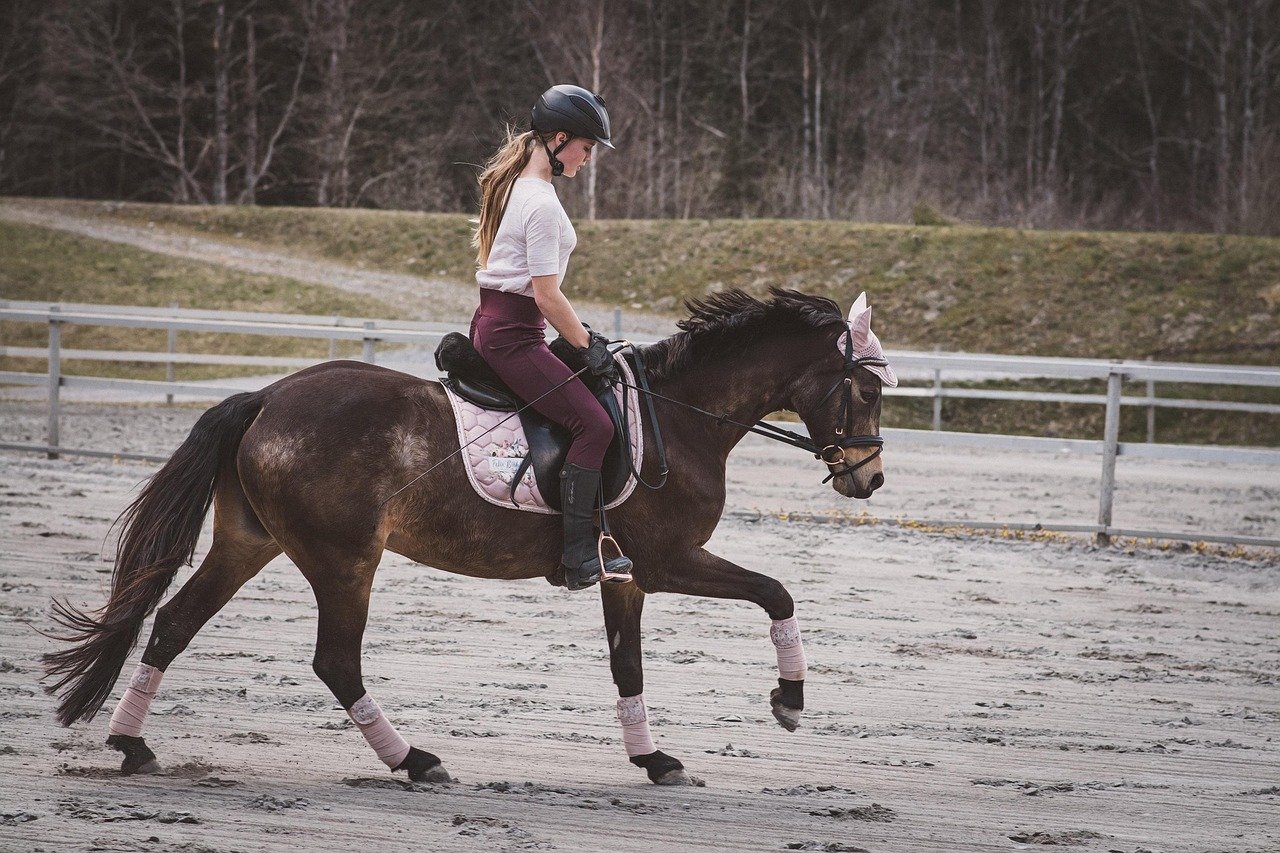 Riding Crop: Purpose, Proper Use, and Benefits in Horse Riding