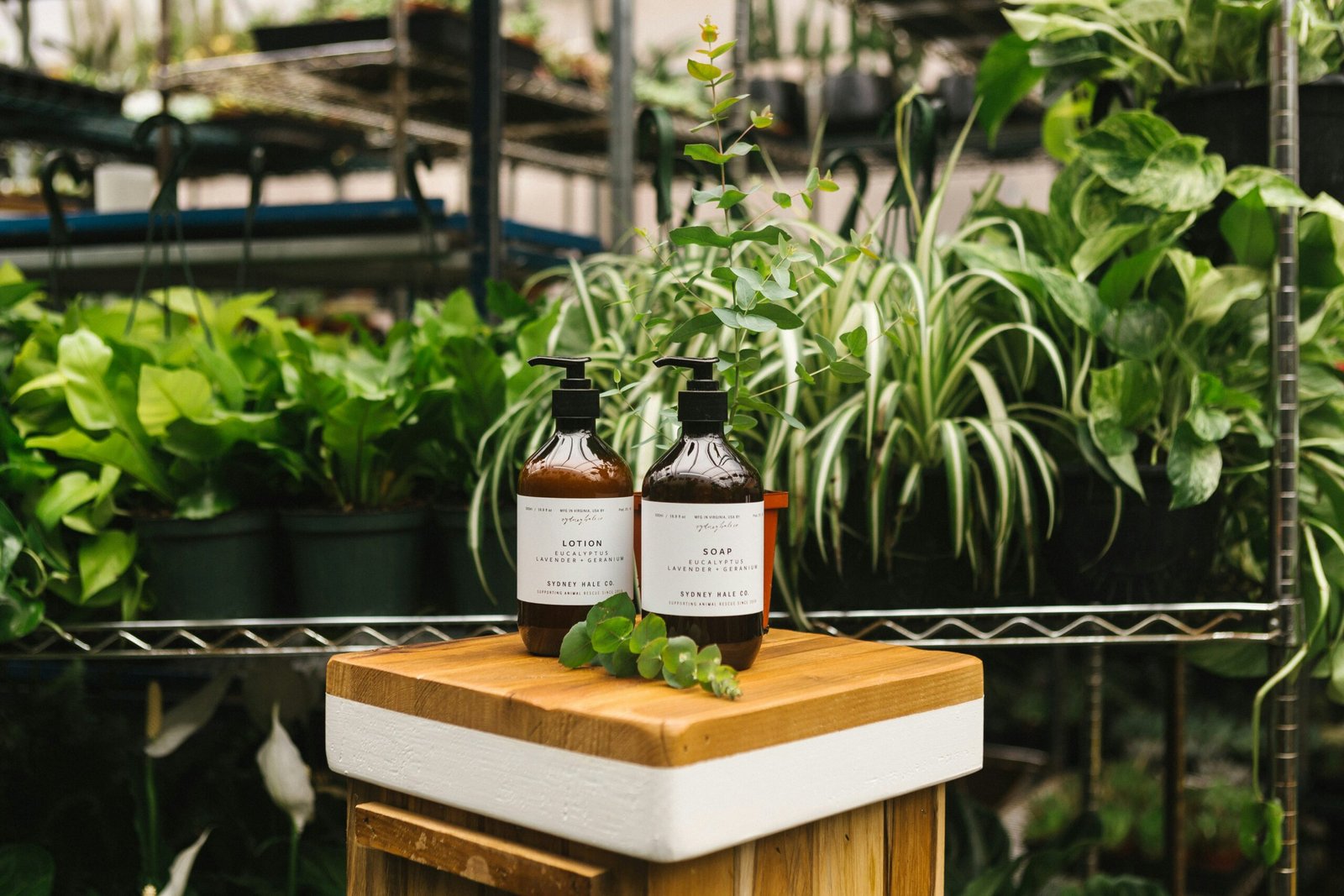 Calmered: A New Way to Soothe Your Senses