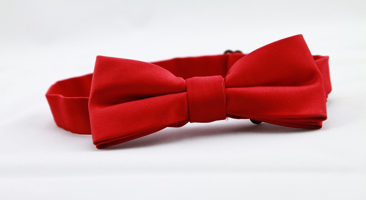 Bolo Tie: Western Neckwear and Stylish Accessory