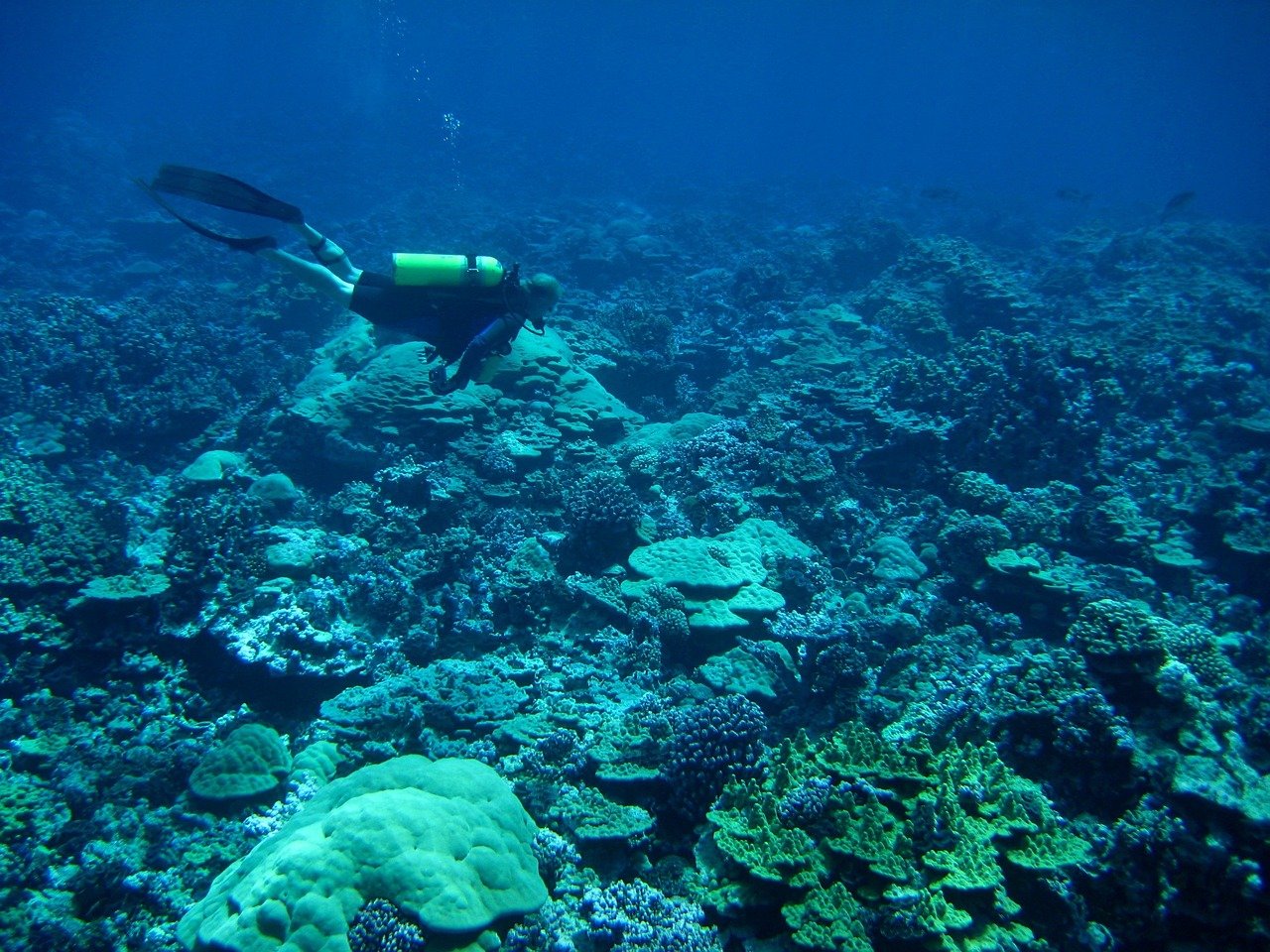 Why Did NASA Stop Exploring the Ocean: Debunking the Myth
